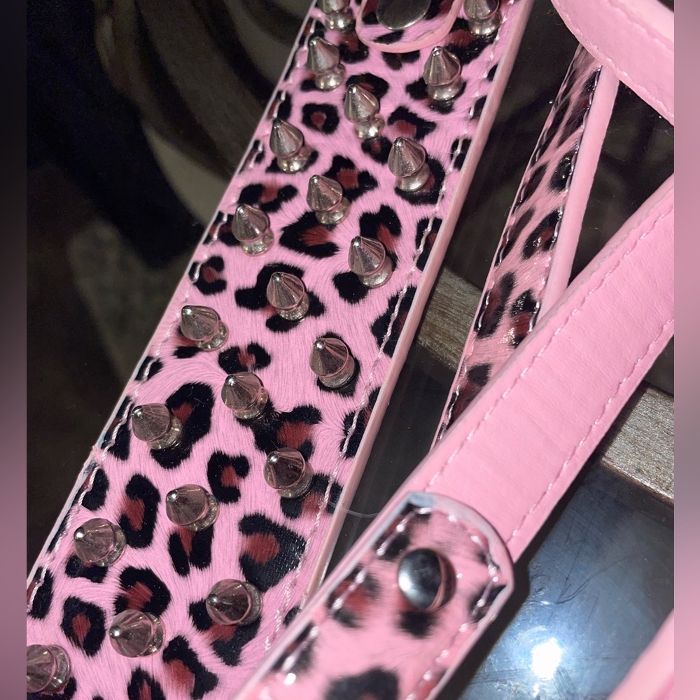 Dog leash and collar